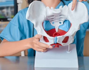 Teoretisk kurs: Klinisk bed&ouml;mning av b&auml;ckenbottens funktion efter f&ouml;rlossning