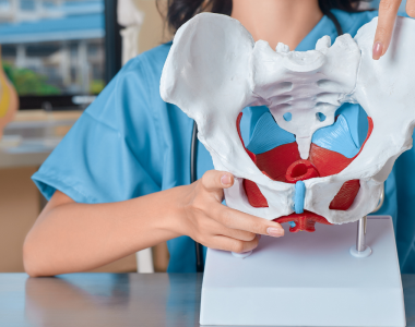 Praktisk kurs: Klinisk bed&ouml;mning av b&auml;ckenbottens funktion efter f&ouml;rlossning